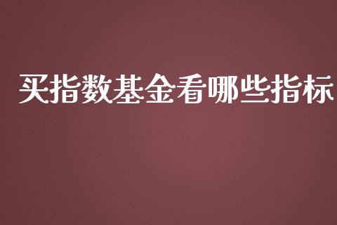 买指数基金看哪些指标_https://qh.lansai.wang_股票技术分析_第1张