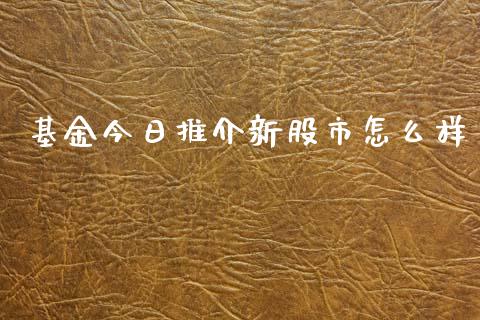 基金今日推介新股市怎么样_https://qh.lansai.wang_期货理财_第1张