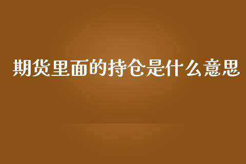 期货里面的持仓是什么意思_https://qh.lansai.wang_期货理财_第1张