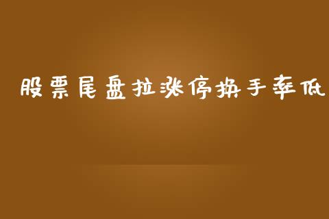 股票尾盘拉涨停换手率低_https://qh.lansai.wang_新股数据_第1张
