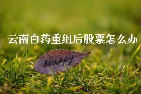 云南白药重组后股票怎么办_https://qh.lansai.wang_期货理财_第1张