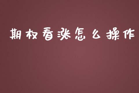 期权看涨怎么操作_https://qh.lansai.wang_期货理财_第1张