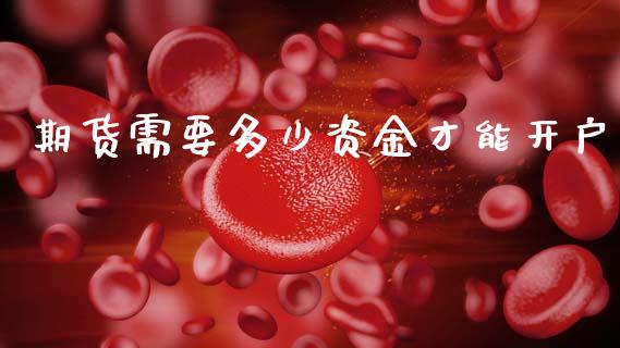 期货需要多少资金才能开户_https://qh.lansai.wang_期货理财_第1张