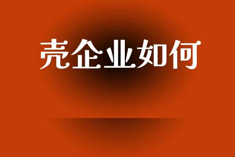 壳企业如何_https://qh.lansai.wang_新股数据_第1张