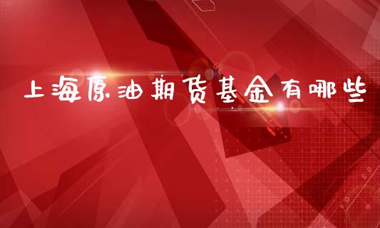 上海原油期货基金有哪些_https://qh.lansai.wang_期货怎么玩_第1张