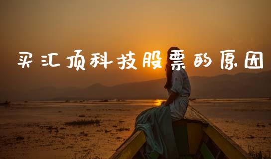 买汇顶科技股票的原因_https://qh.lansai.wang_新股数据_第1张