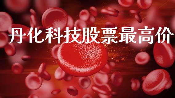 丹化科技股票最高价_https://qh.lansai.wang_期货理财_第1张