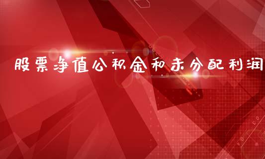 股票净值公积金和未分配利润_https://qh.lansai.wang_期货理财_第1张
