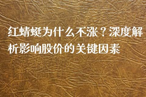 红蜻蜓为什么不涨？深度解析影响股价的关键因素_https://qh.lansai.wang_期货喊单_第1张