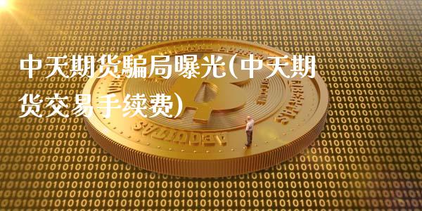 中天期货騙局曝光(中天期货交易手续费)_https://qh.lansai.wang_期货怎么玩_第1张