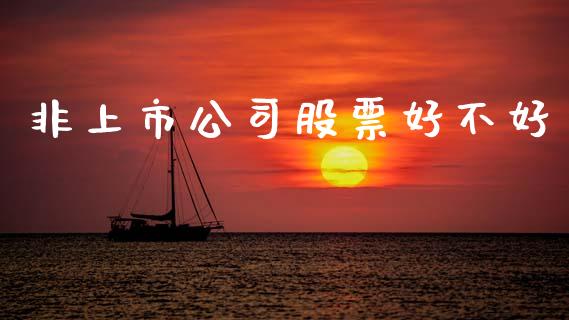 非上市公司股票好不好_https://qh.lansai.wang_新股数据_第1张