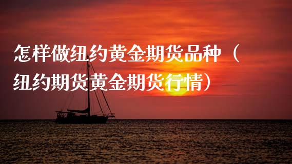 怎样做纽约黄金期货品种（纽约期货黄金期货行情）_https://qh.lansai.wang_股票技术分析_第1张