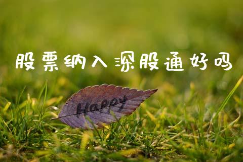 股票纳入深股通好吗_https://qh.lansai.wang_期货怎么玩_第1张