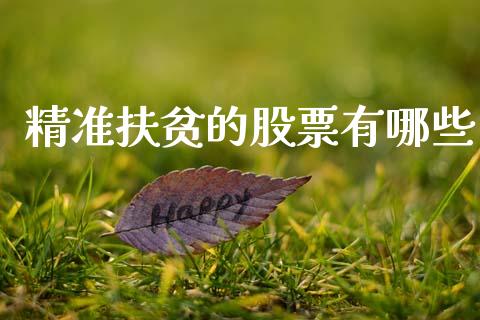精准扶贫的股票有哪些_https://qh.lansai.wang_新股数据_第1张