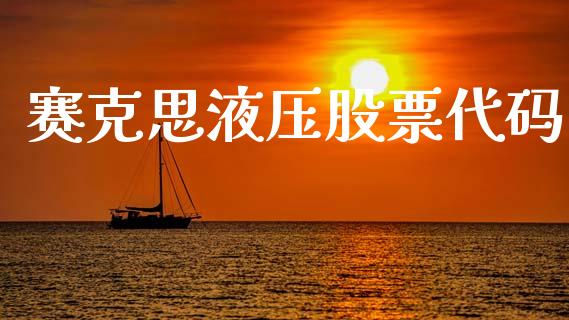 赛克思液压股票代码_https://qh.lansai.wang_期货怎么玩_第1张