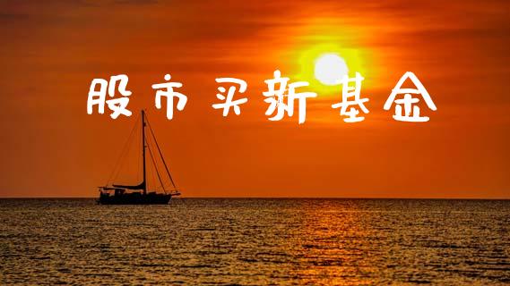 股市买新基金_https://qh.lansai.wang_期货理财_第1张