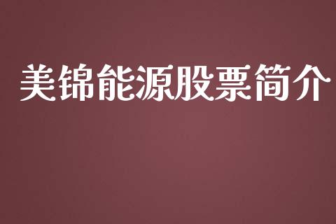 美锦能源股票简介_https://qh.lansai.wang_期货喊单_第1张