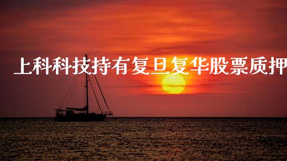 上科科技持有复旦复华股票质押_https://qh.lansai.wang_期货理财_第1张