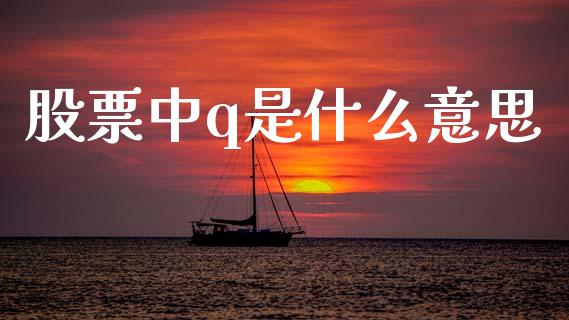 股票中q是什么意思_https://qh.lansai.wang_新股数据_第1张