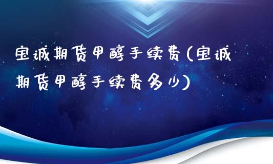 宝诚期货甲醇手续费(宝诚期货甲醇手续费多少)_https://qh.lansai.wang_期货怎么玩_第1张