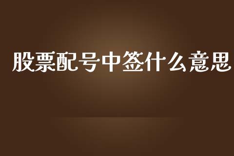 股票配号中签什么意思_https://qh.lansai.wang_期货怎么玩_第1张