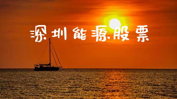 深圳能源股票_https://qh.lansai.wang_期货怎么玩_第1张