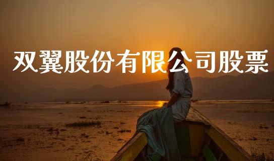 双翼股份有限公司股票_https://qh.lansai.wang_期货喊单_第1张
