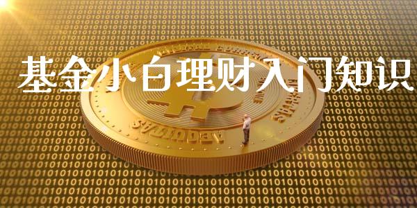 基金小白理财入门知识_https://qh.lansai.wang_期货理财_第1张