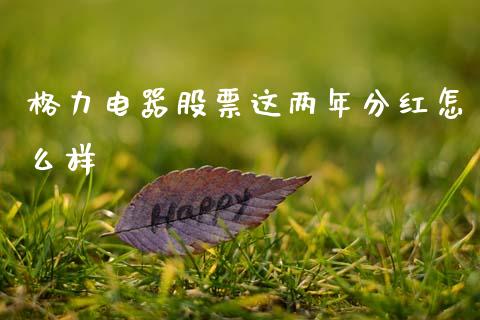 格力电器股票这两年分红怎么样_https://qh.lansai.wang_期货理财_第1张