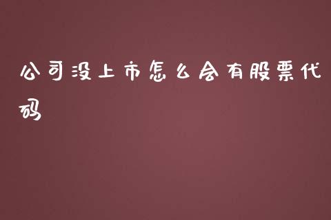 公司没上市怎么会有股票代码_https://qh.lansai.wang_期货喊单_第1张