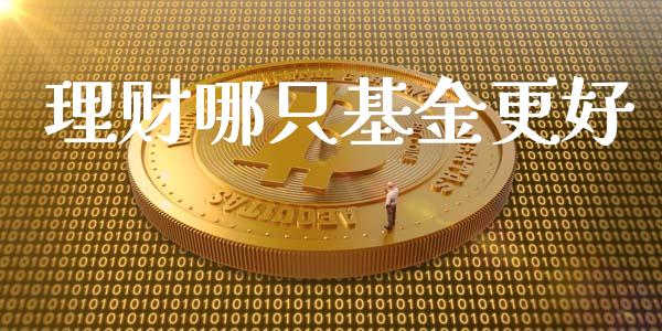 理财哪只基金更好_https://qh.lansai.wang_期货理财_第1张