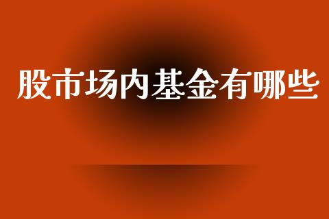 股市场内基金有哪些_https://qh.lansai.wang_期货理财_第1张