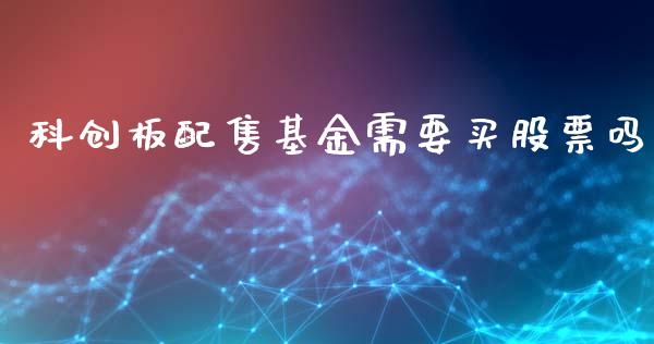 科创板配售基金需要买股票吗_https://qh.lansai.wang_期货怎么玩_第1张