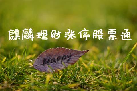 麒麟理财涨停股票通_https://qh.lansai.wang_期货理财_第1张