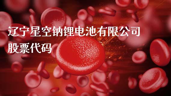 辽宁星空钠锂电池有限公司股票代码_https://qh.lansai.wang_期货理财_第1张