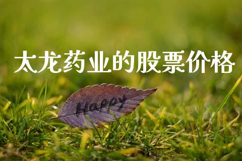 太龙药业的股票价格_https://qh.lansai.wang_期货怎么玩_第1张