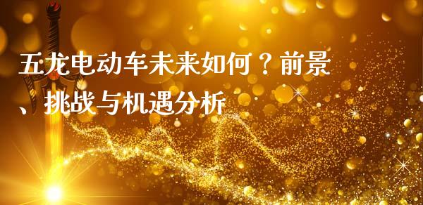 五龙电动车未来如何？前景、挑战与机遇分析_https://qh.lansai.wang_期货理财_第1张