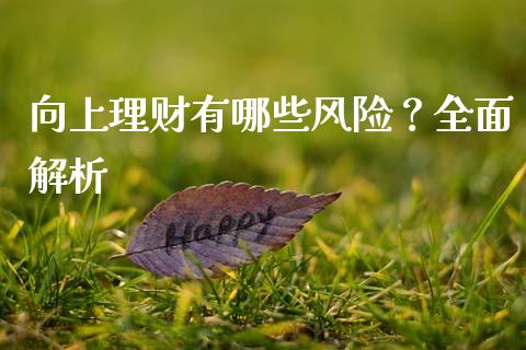 向上理财有哪些风险？全面解析_https://qh.lansai.wang_期货理财_第1张
