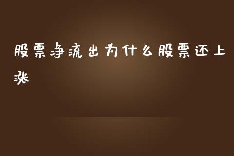 股票净流出为什么股票还上涨_https://qh.lansai.wang_新股数据_第1张