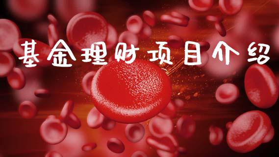 基金理财项目介绍_https://qh.lansai.wang_期货理财_第1张