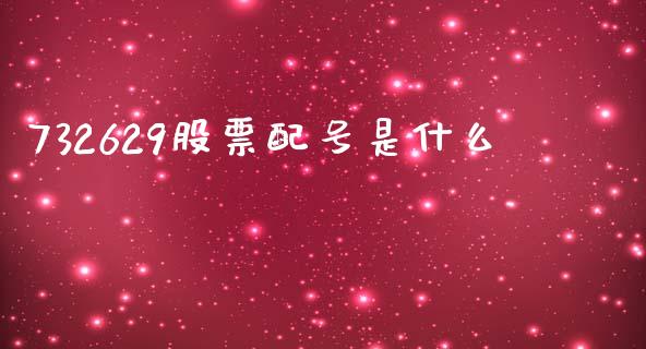 732629股票配号是什么_https://qh.lansai.wang_期货理财_第1张
