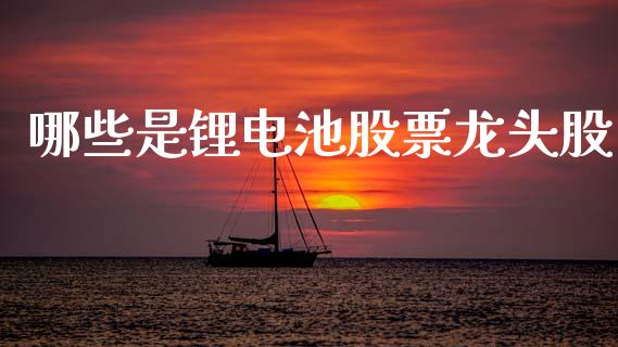 哪些是锂电池股票龙头股_https://qh.lansai.wang_期货怎么玩_第1张
