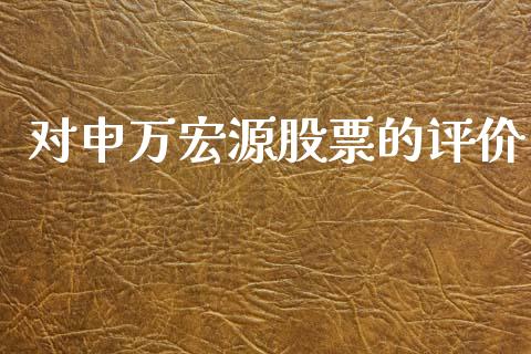 对申万宏源股票的评价_https://qh.lansai.wang_期货怎么玩_第1张
