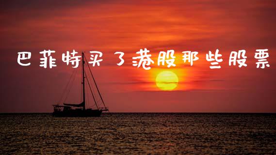 巴菲特买了港股那些股票_https://qh.lansai.wang_期货理财_第1张