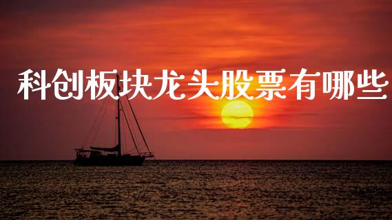 科创板块龙头股票有哪些_https://qh.lansai.wang_期货理财_第1张
