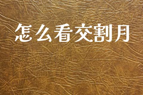 怎么看交割月_https://qh.lansai.wang_海康威视股票_第1张