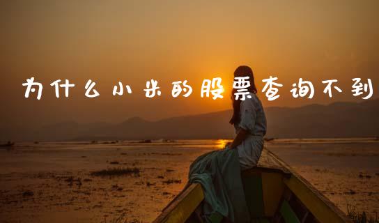 为什么小米的股票查询不到_https://qh.lansai.wang_期货怎么玩_第1张