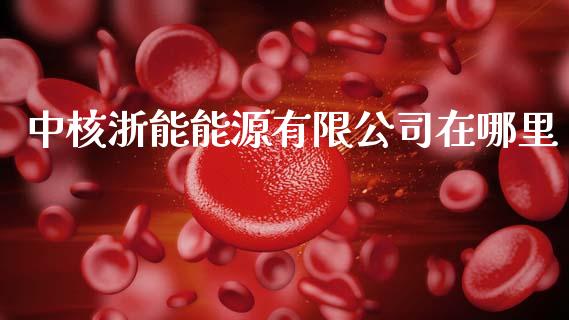 中核浙能能源有限公司在哪里_https://qh.lansai.wang_期货理财_第1张