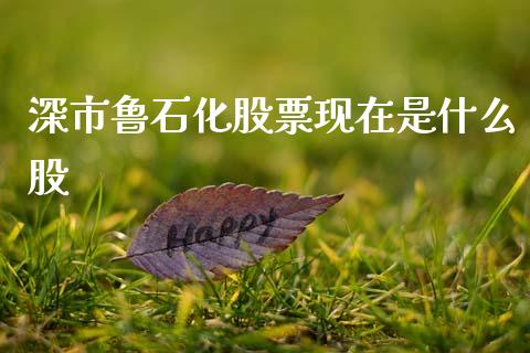 深市鲁石化股票现在是什么股_https://qh.lansai.wang_期货理财_第1张