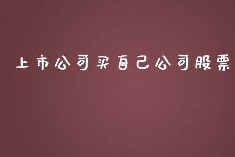 上市公司买自己公司股票_https://qh.lansai.wang_期货喊单_第1张